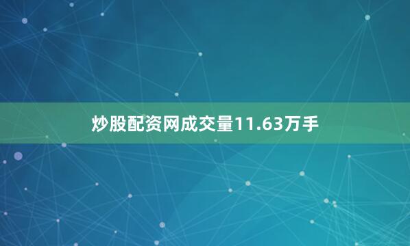 炒股配资网成交量11.63万手