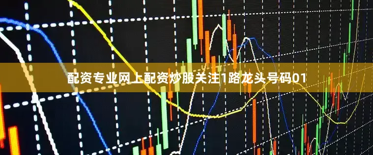 配资专业网上配资炒股关注1路龙头号码01