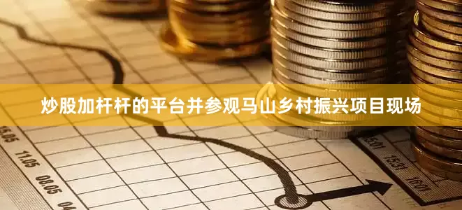 炒股加杆杆的平台并参观马山乡村振兴项目现场